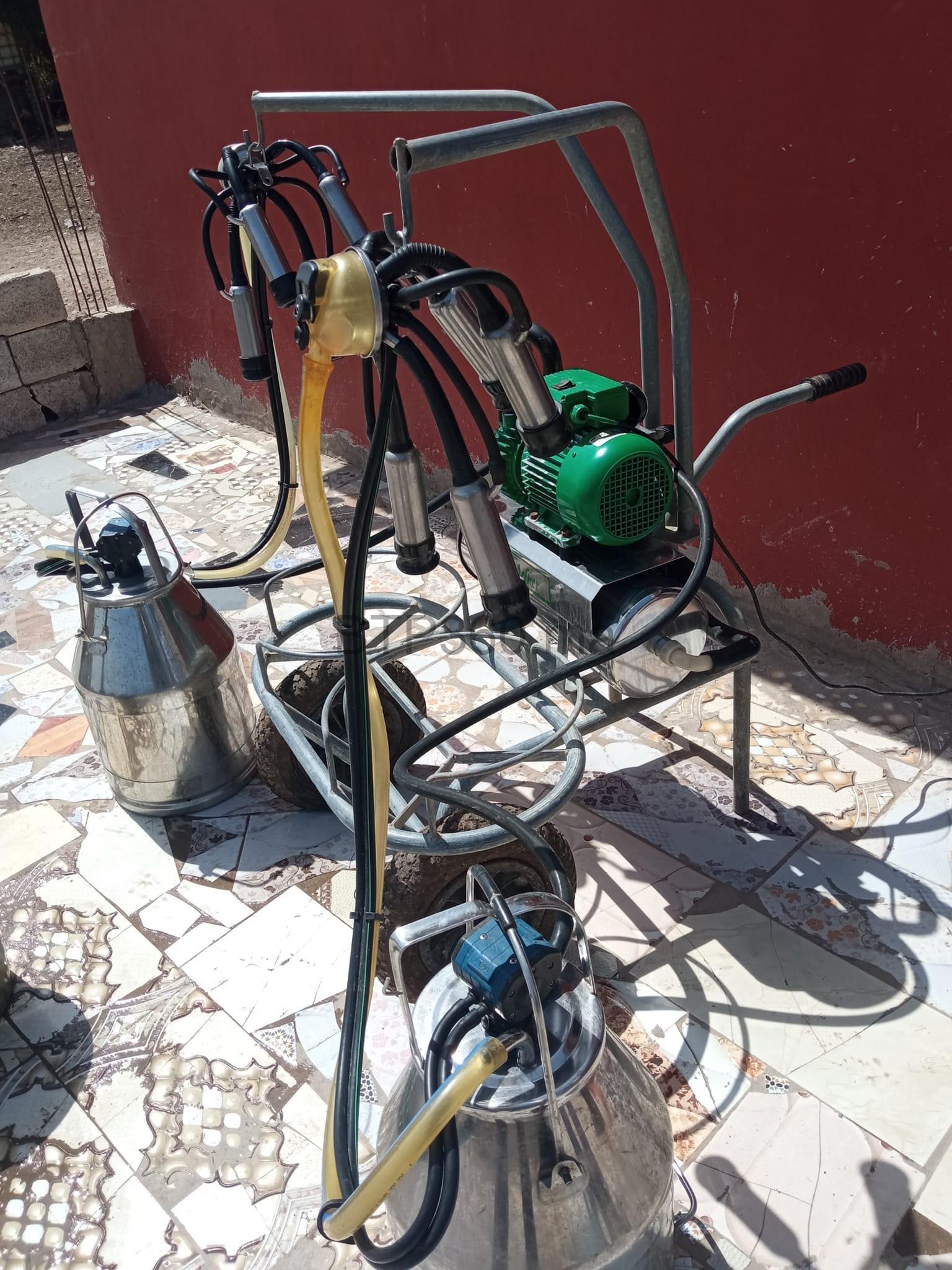 73E8ED83-024C-46AE-95F3-ACD67138A33F