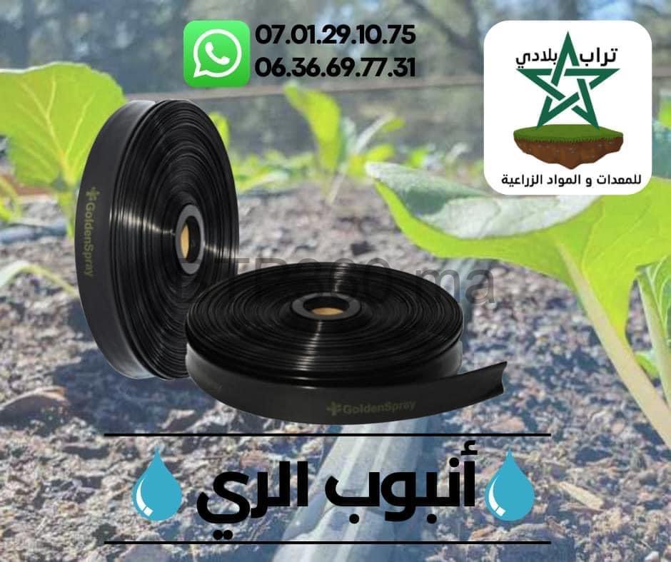 91D13D4B-E326-494F-969E-F2065F28FB2A