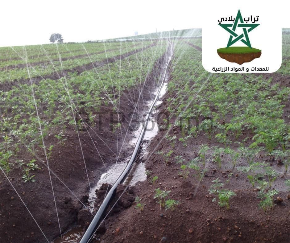 B5AAC338-4303-4903-AE3D-03613A98459D