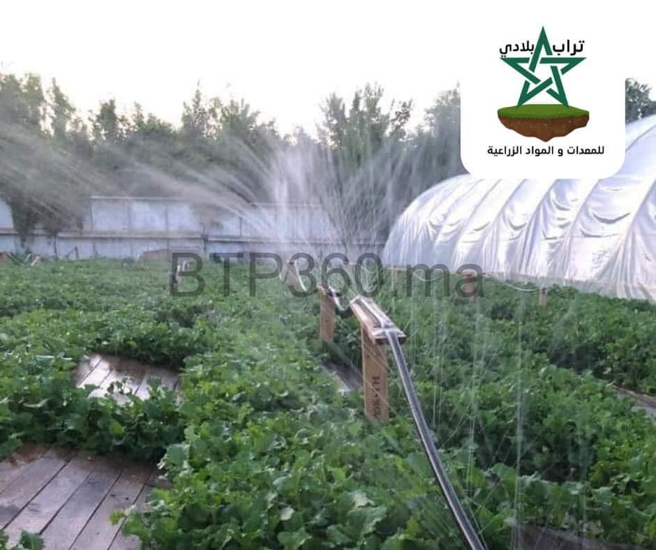 F20B1691-A7C0-41EA-9164-16EAB3563620