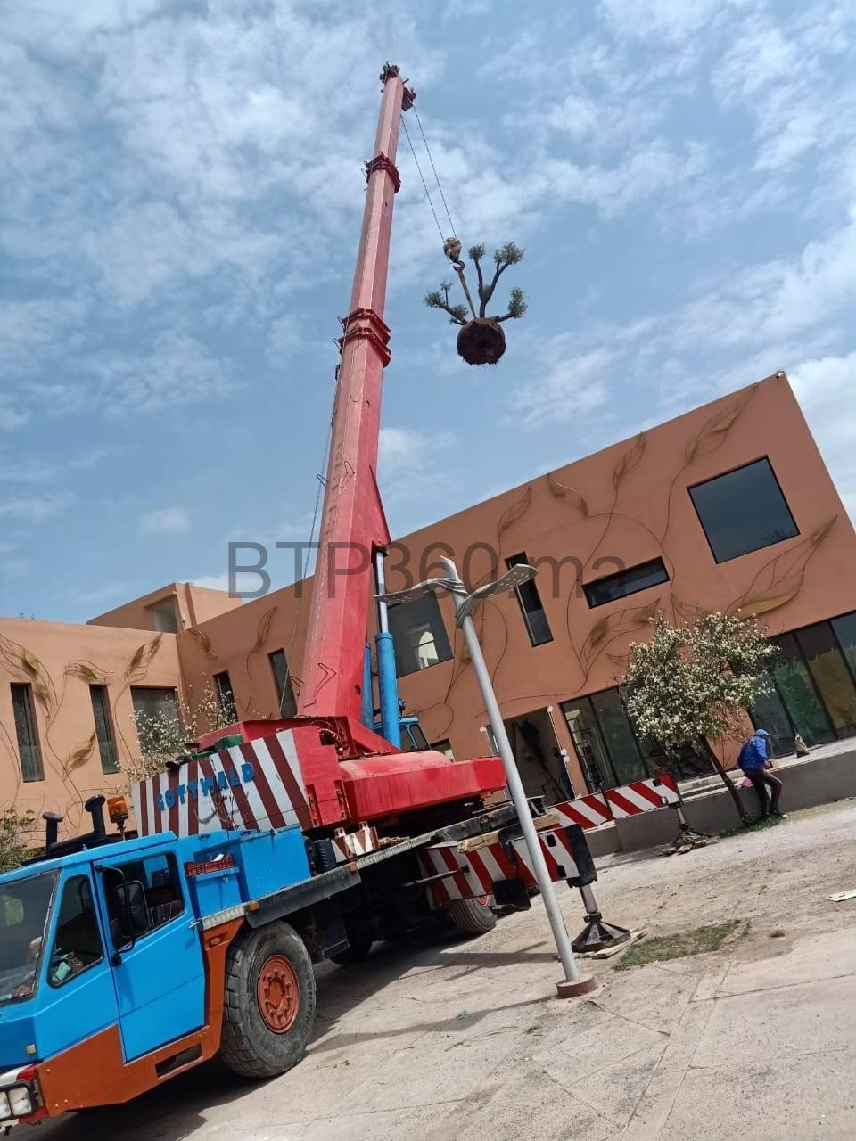 FF3B5317-1286-432E-B72D-B7139B56F518