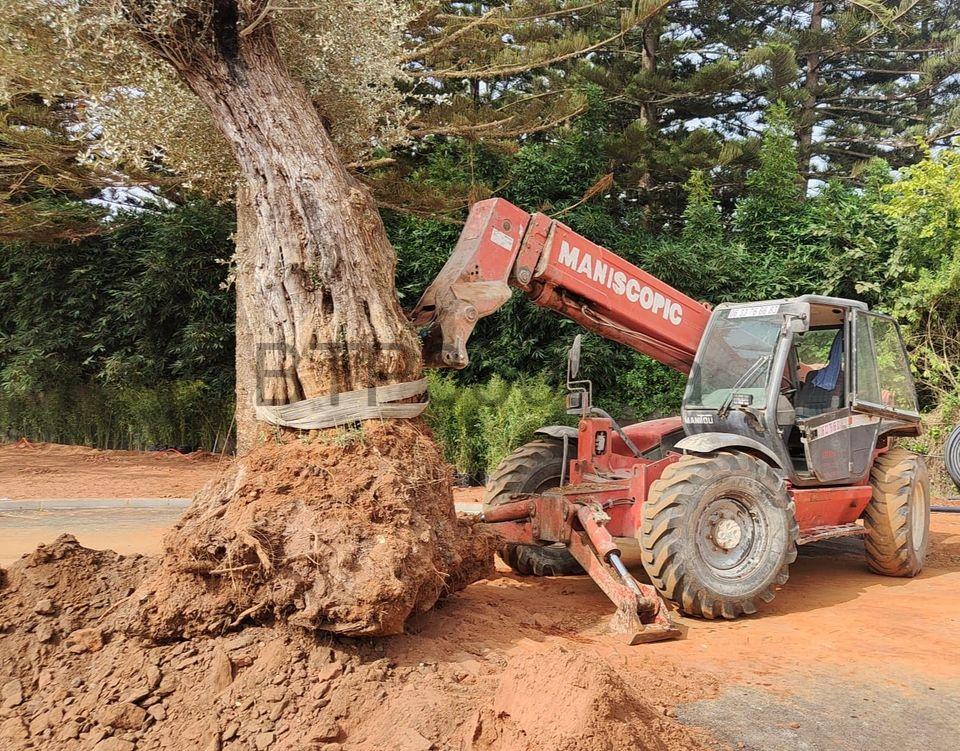 369681097_1784533621975398_1640656337559726363_n