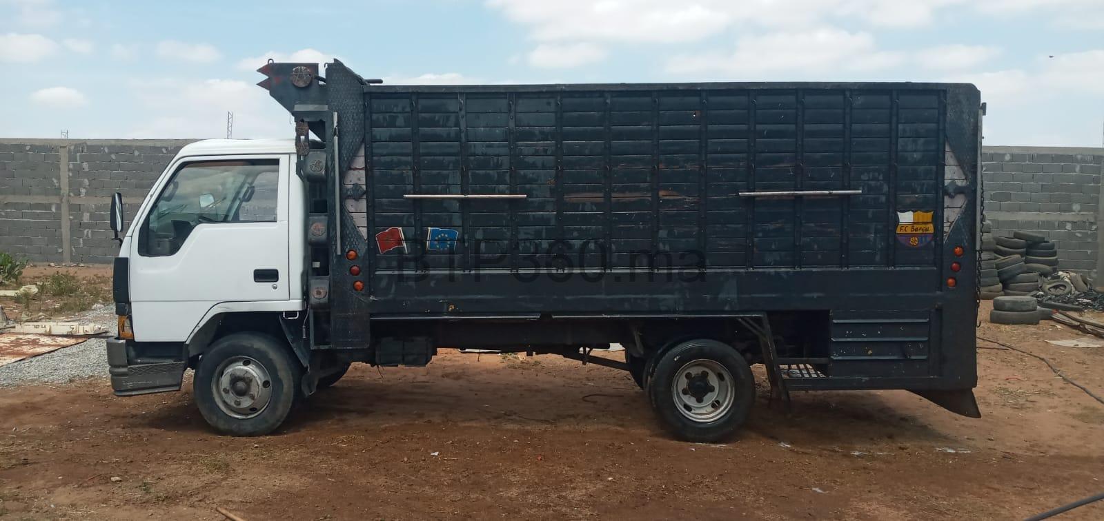 372835227_2532542940248175_1140729250875460267_n